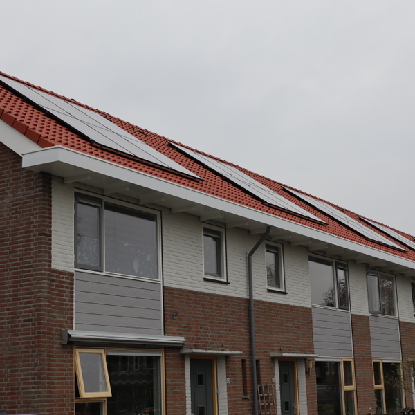 Van Wijnen